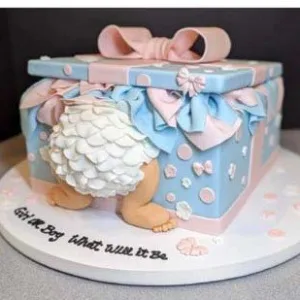 Detroit Michigan Baby Bum In A Box Custom Shower Cake